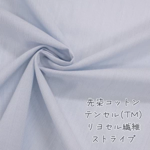 ストライプ 生地 『 先染コットン/テンセル(TM)リヨセル繊維ストライプ 』薄手【30cm以上10cm単位】